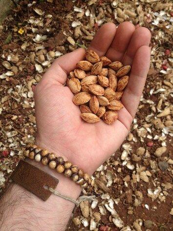 Böhmisches Stein Armband "Geflochten"
