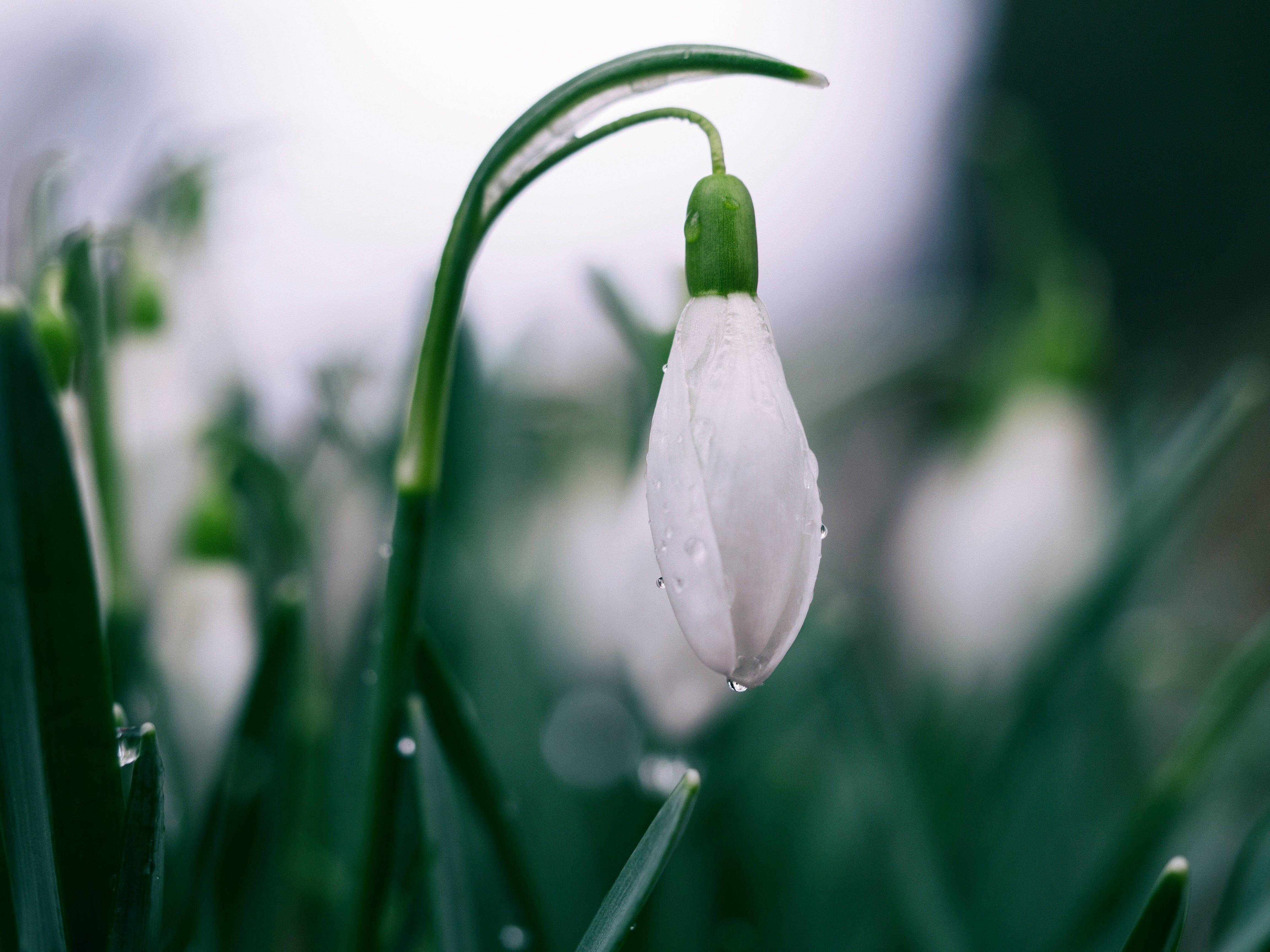 Beleben Sie Ihren Frühling mit Kristallschmuck: Ein Leitfaden zur Auswahl von Steinen für neue Anfänge